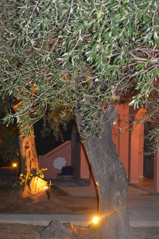 Elaia Resorts Perama  Pokoj fotografie