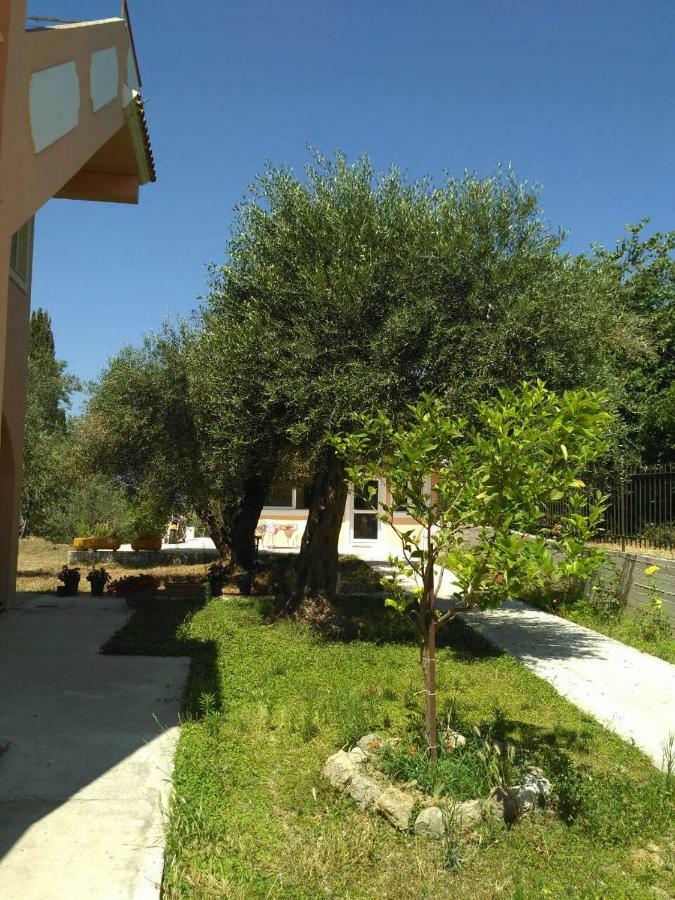 Elaia Resorts Perama  Exteriér fotografie